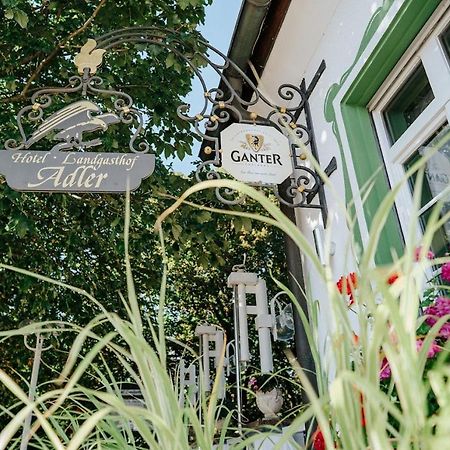 Landgasthof Adler 莱茵河畔的布赖萨赫 外观 照片